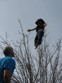 Flying